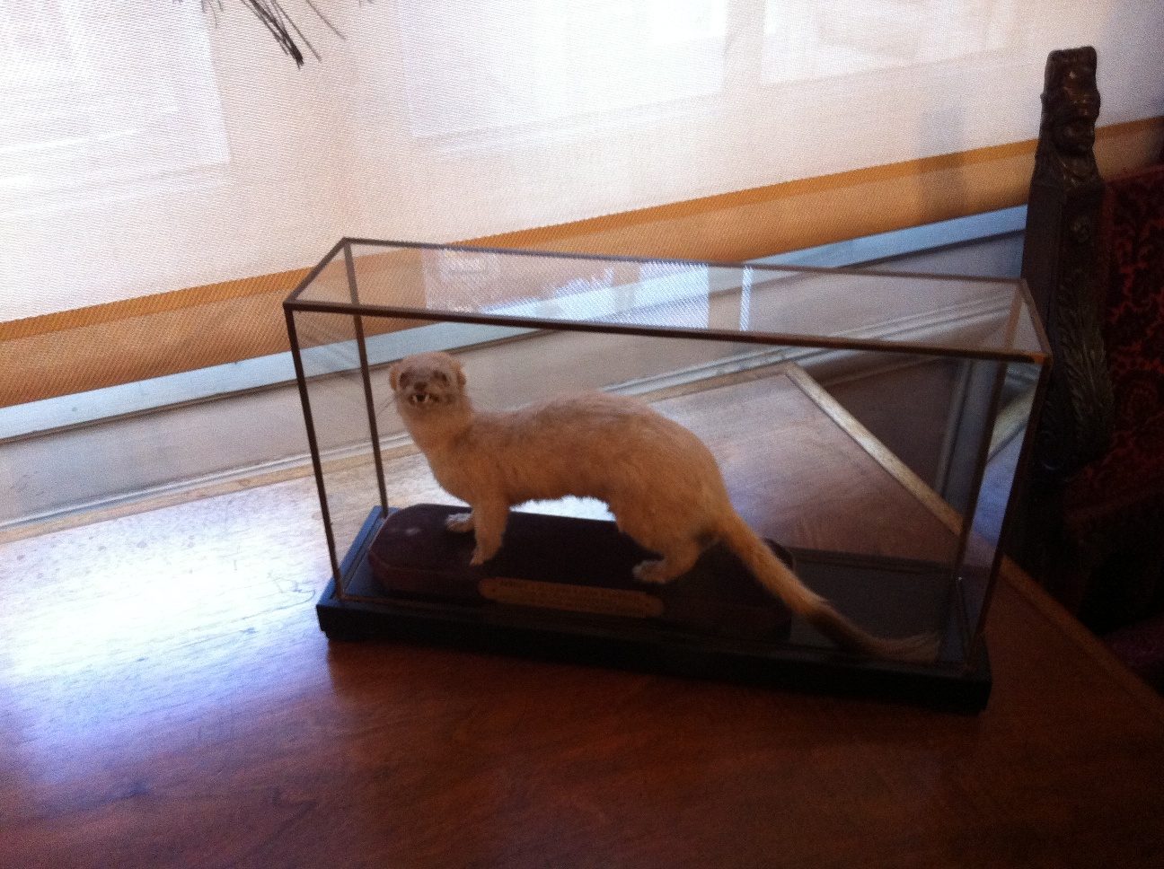 Pasteur's home-museum, Institut Pasteur, Paris by Rosa Longo (19).JPG